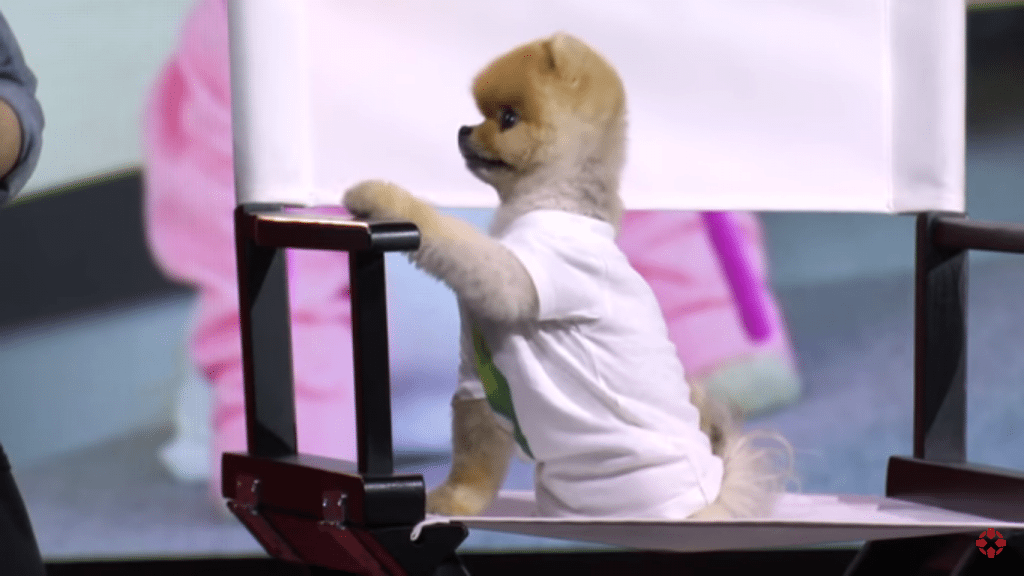 Jiffpom en EA Gamescom 2017