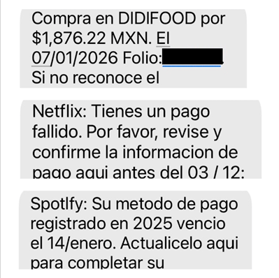 El fraude digital en México